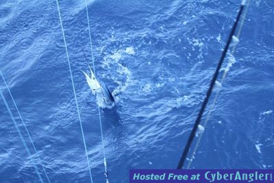 Click to Enlarge Photo