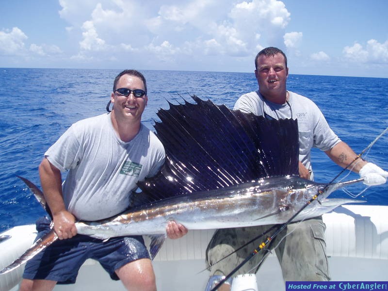65 lb. Sailfish