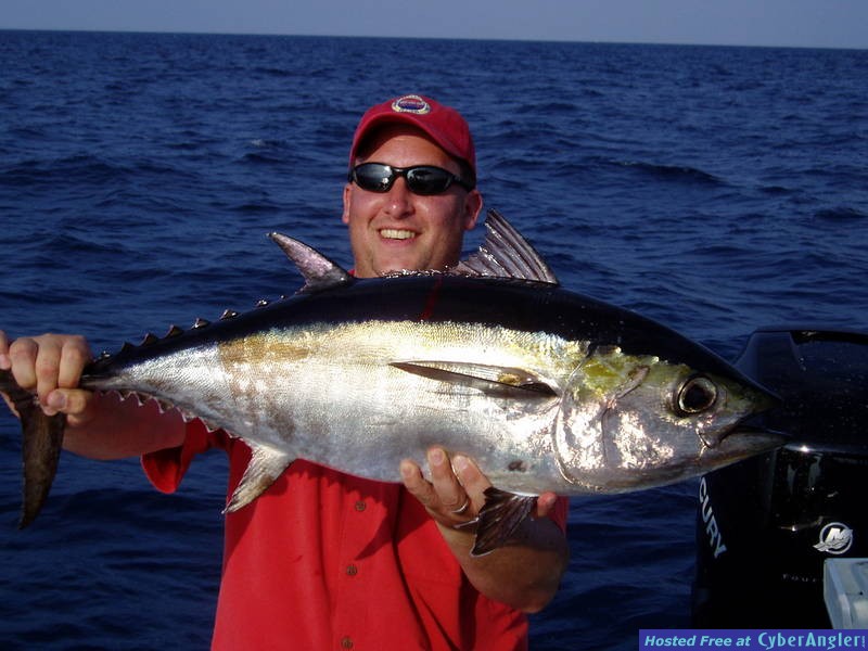 35 Lb. Blackfin Tuna