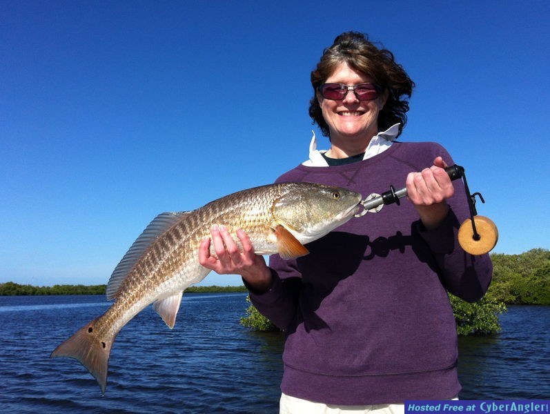 Estero Bay Redfish