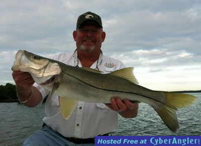 Winter Snook