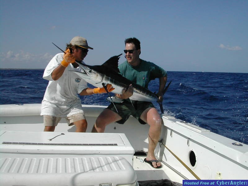 White Marlin - Cancun