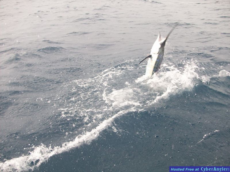 good fishing