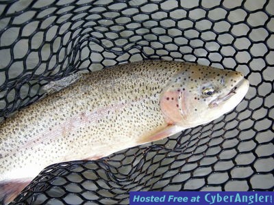 Click to Enlarge Photo