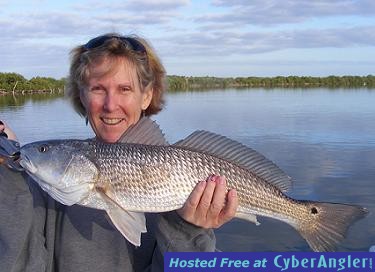 Click to Enlarge Photo