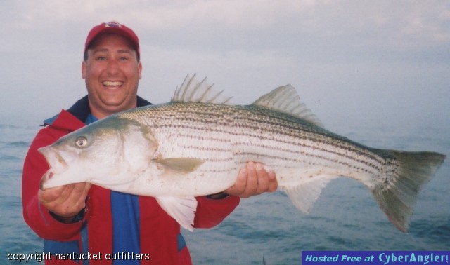 Stripped Bass