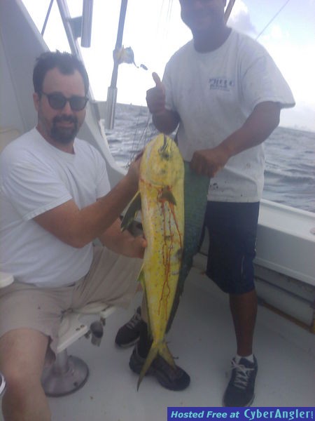 mahi mahi winger