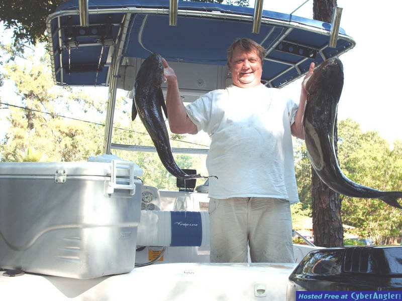 Cobia