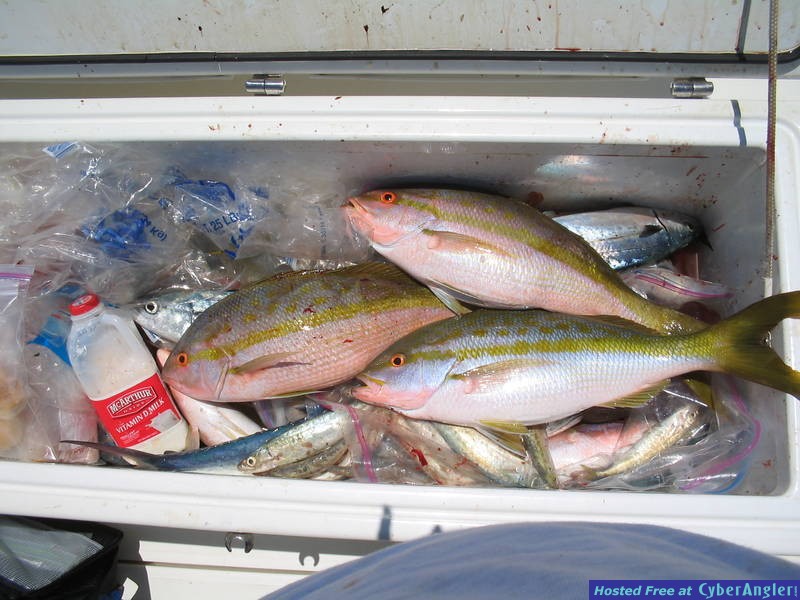 Bimini - June 2006