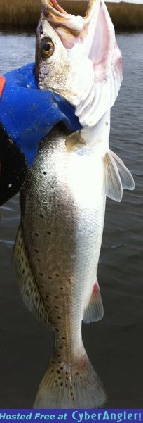 photo44