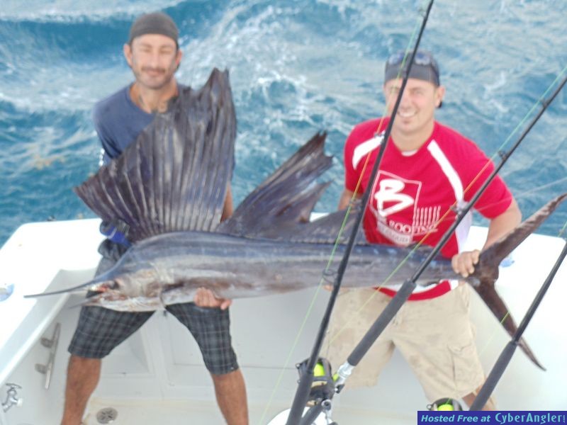 wahoo_sailfish_king_006