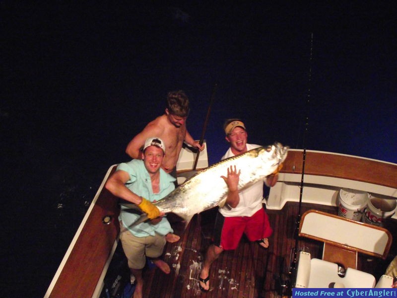 Tortuga Tarpon