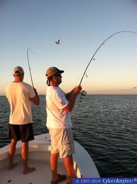 photo45