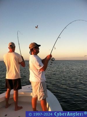 Click to Enlarge Photo