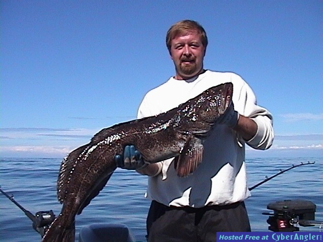 Tofino BC Ling Cod Fishing Picture
