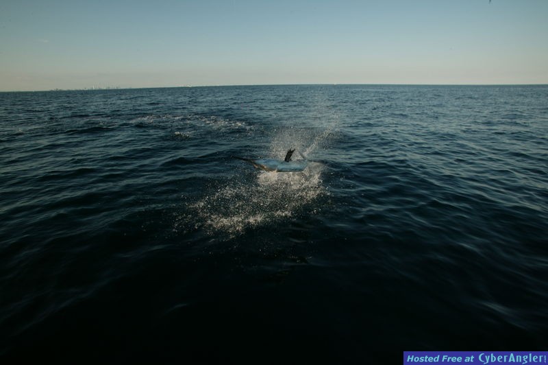 Ninth Fish