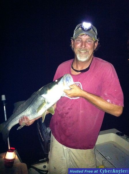 Snook