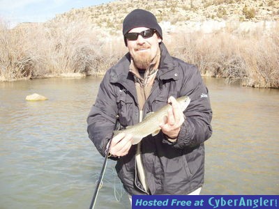 Click to Enlarge Photo