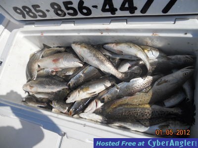 Click to Enlarge Photo