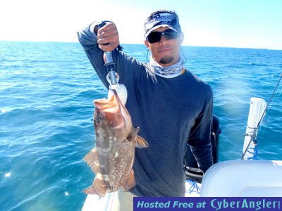 Click to Enlarge Photo