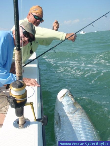 boc Grande tarpon