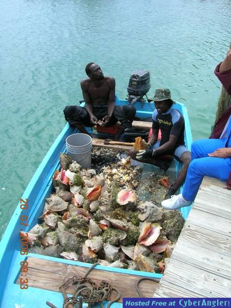 Bimini - July 2006