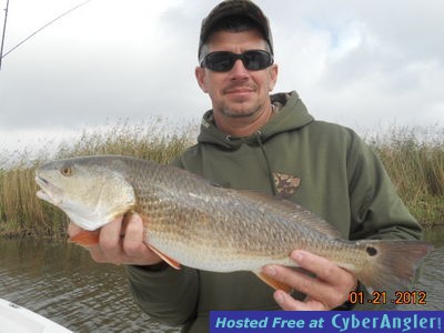 Click to Enlarge Photo