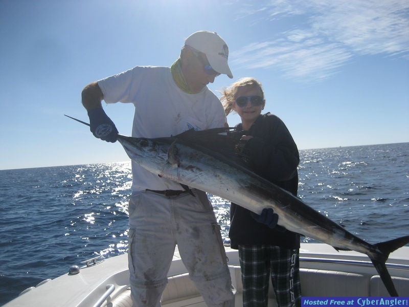 sailfish