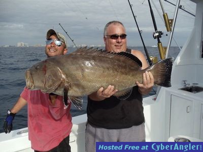 amberjack_black_grouper_005