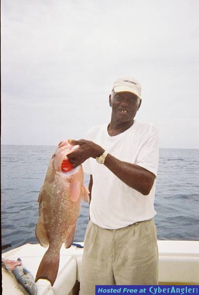 Blue Marlin Bill