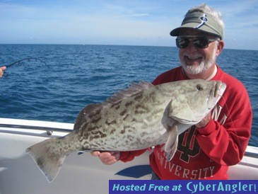 32-inch, 13-pound, gag grouper, released