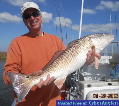 Click to Enlarge Photo