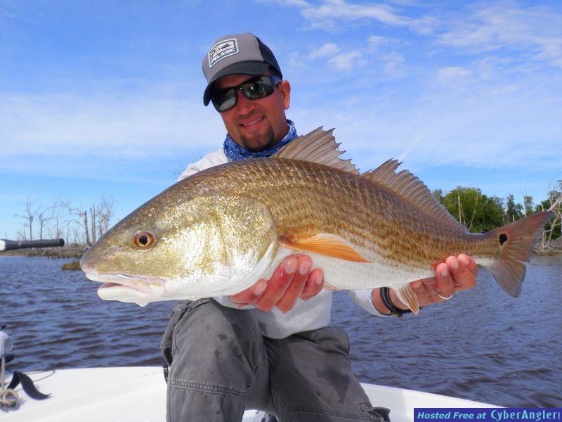 Fishing the Trends in Everglades National Park