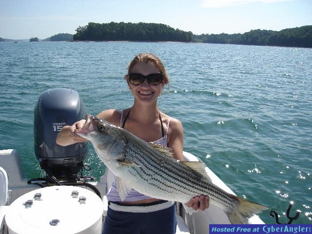 Nice Trolling Fish