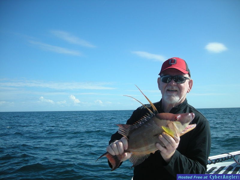 Bass N Bay Charters