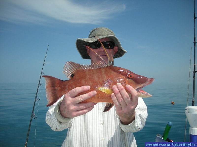 Bass N Bay Charters