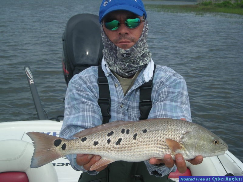 Bass N Bay Charters