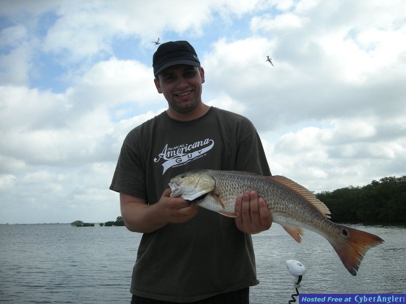 Bass N Bay Charters