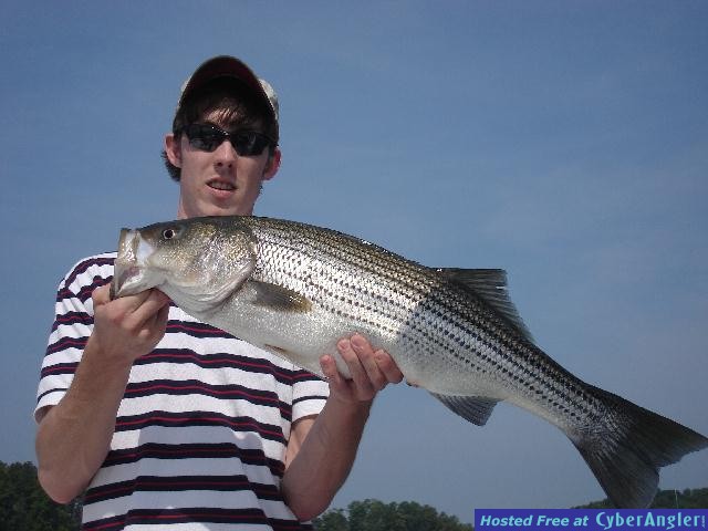 First Striper