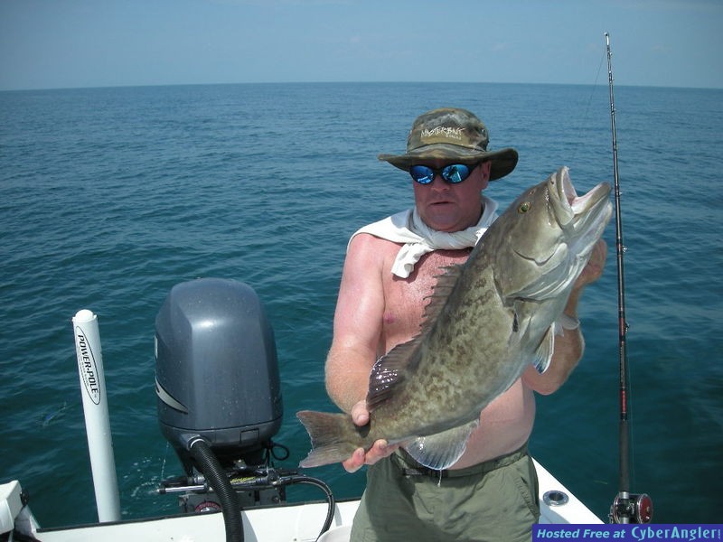 Bass N Bay Charters