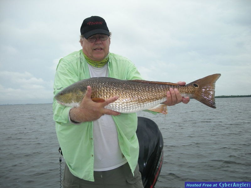 Bass N Bay Charters