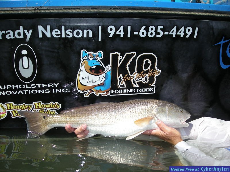 Bass N Bay Charters