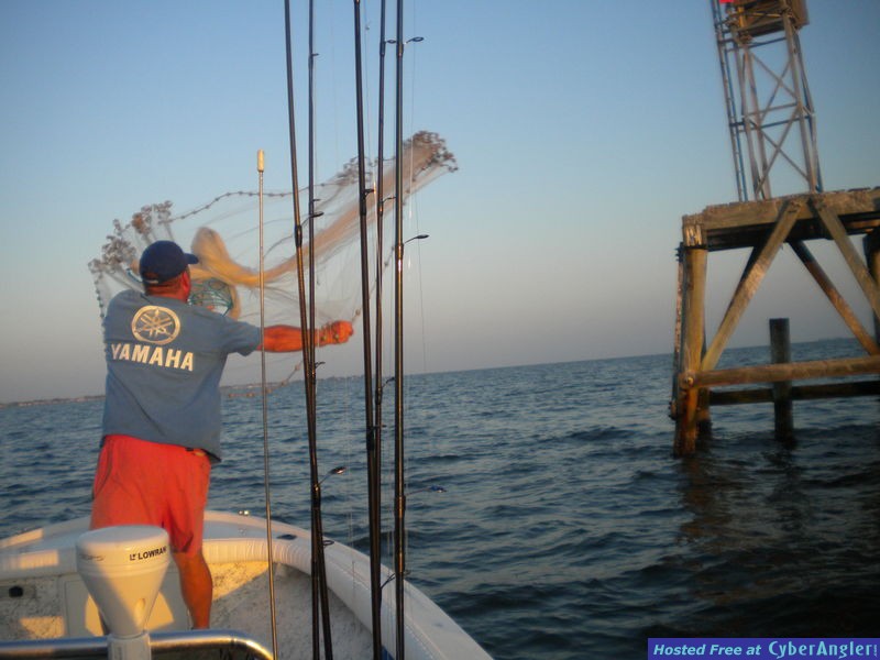 Bass N Bay Charters