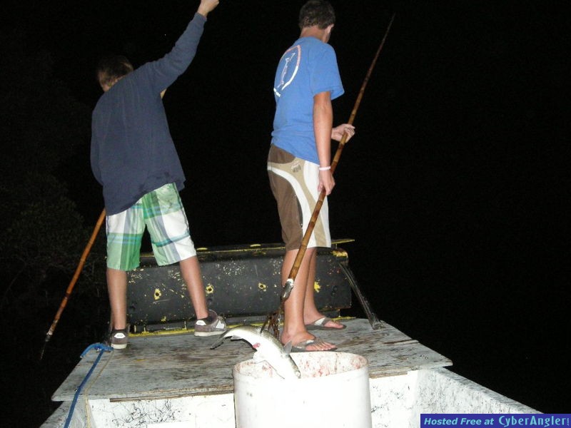 Bass N Bay Charters