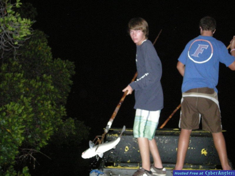 Bass N Bay Charters