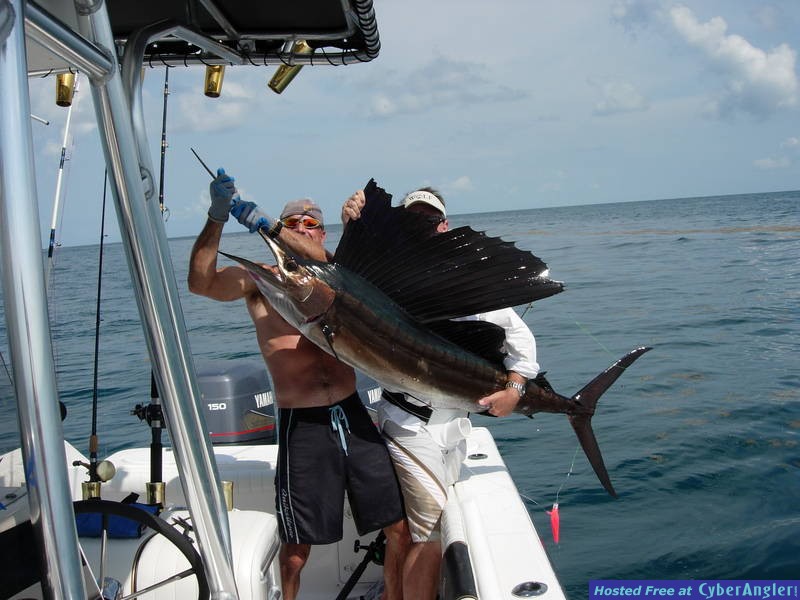 Willie the Texas Horse Trader and a Galveston Sail