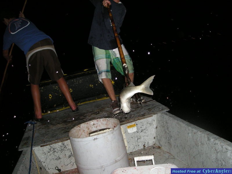 Bass N Bay Charters