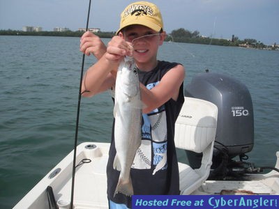 Sarasota silver trout