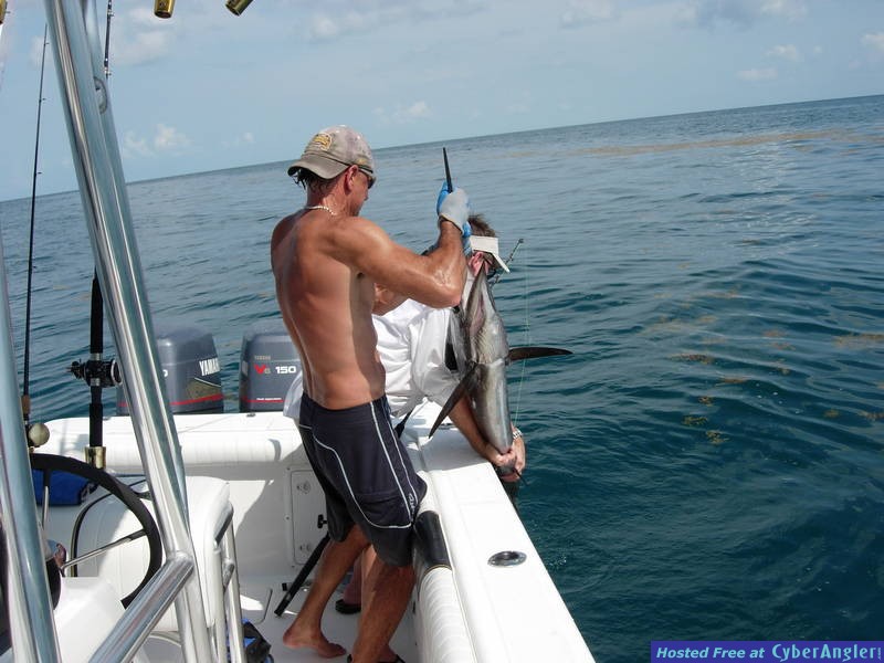 Willie the Texas Horse Trader and a Galveston Sail