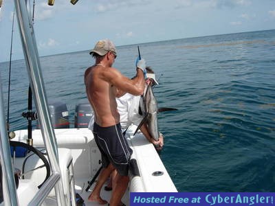 Willie the Texas Horse Trader and a Galveston Sail